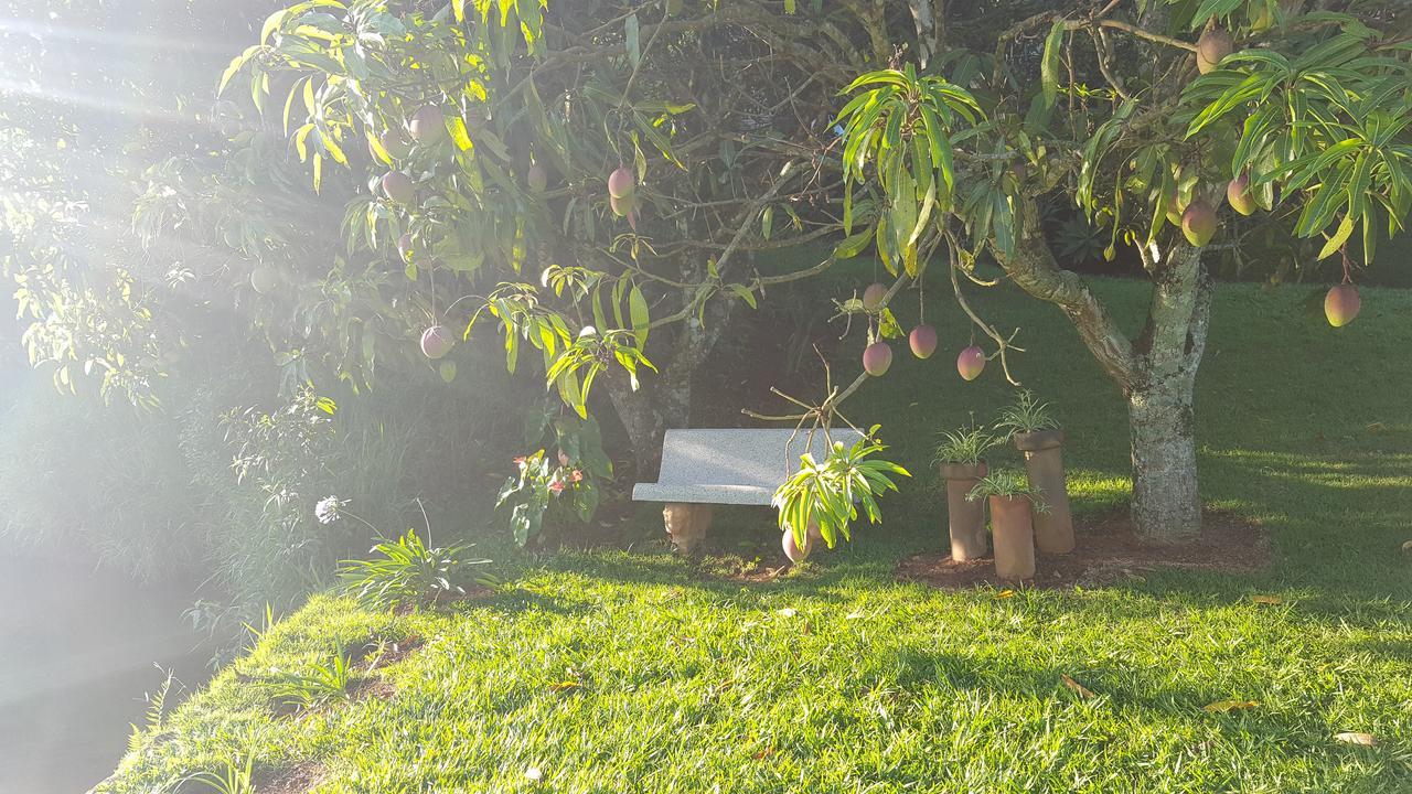Ibiti Rural